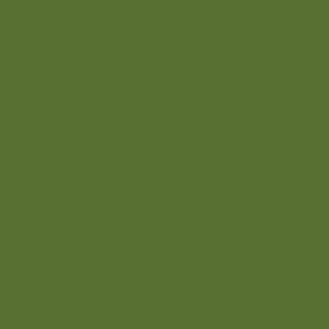 Picture of Ακρυλικό Χρώμα Americana 59ml -  Antique Green