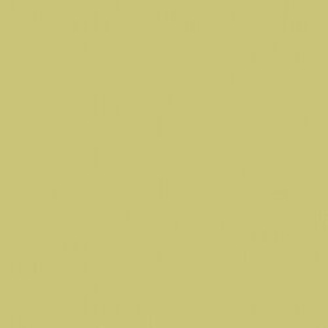 Picture of Ακρυλικό Χρώμα Americana 59ml -  Reindeer Moss