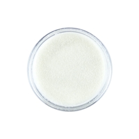 Picture of Sweet Dixie Precious Gems Embossing Powder - White Glowing Pearl