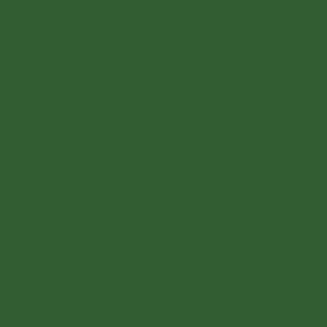 Picture of Ακρυλικό Χρώμα Americana 59ml -  Leaf Green