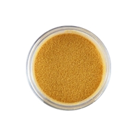 Picture of Sweet Dixie Precious Gems Embossing Powder -  Pearl Gold