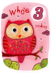 Picture of Eye Spy Greeting Cards - Age 3 Owl