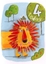 Picture of Eye Spy Greeting Cards - Age 4 Lion