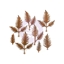 Εικόνα του Μεταλλικά Διακοσμητικά Finnabair Mechanicals - Woodland Ferns