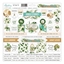 Picture of Mintay Papers Chipboard Stickers - Urban Jungle
