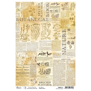 Picture of Ciao Bella Rice Paper Sheet Α4 - Species Plantarum, Sign Of The Times