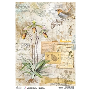 Picture of Ciao Bella Rice Paper Sheet Α4 - Botanical, Sign Of The Times