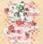 Picture of Mintay Papers Συλλογή Scrapbooking 12''x12'' - Apple Season