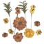 Εικόνα του 49 And Market Rustic Bouquet Χάρτινα Λουλούδια - Marigold