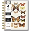 Picture of Happy Planner Undated 4-Month Big Planner 8.5"X11" - Papillon 