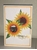 Picture of Spellbinders Glimmer Foil - Variety Pack 3