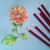 Picture of Spectrum Noir ColourBlend Pencils Μολύβια - Florals