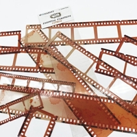 Εικόνα του 49 And Market Vintage Bits Essential Filmstrips  Διακοσμητικά Φιλμ - Citrus, 11τεμ.