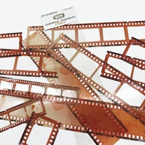 Picture of 49 And Market Vintage Bits Essential Filmstrips - Citrus, 11pcs