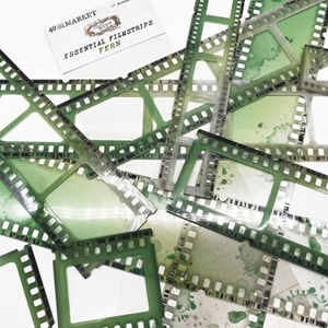 Picture of 49 And Market Vintage Bits Essential Filmstrips Διακοσμητικά Φιλμ - Fern