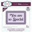 Picture of Creative Expressions Craft Dies by Sue Wilson -  Block Sentiments, You are so special,  2pcs