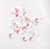 Picture of Studio Light Shaker Sequins - Flowers, 6pcs
