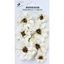 Picture of Little Birdie Galina Paper Flowers - Ivory Pearl, 7pcs