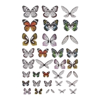 Εικόνα του Tim Holtz Idea-Ology Transparent Acetate Wings - Διακοσμητικά Φτερά από Ασετατ, 72τεμ.