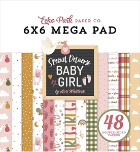 Picture of Echo Park Mega Μπλοκ Scrapbooking Διπλής Όψης 6"X6" - Special Delivery Baby Girl