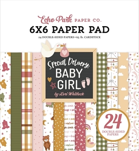 Picture of Echo Park Μπλοκ Scrapbooking Διπλής Όψης 6"X6" - Special Delivery Baby Girl