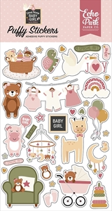 Picture of Echo Park Puffy Stickers - Special Delivery Baby Girl, 36pcs