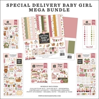 Εικόνα του Echo Park Mega Bundle Συλλογή Scrapbooking 12"X12" - Special Delivery Baby Girl, 315τεμ