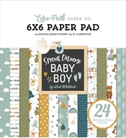 Εικόνα του Echo Park Μπλοκ Scrapbooking Διπλής Όψης 6"X6" - Special Delivery Baby Boy 