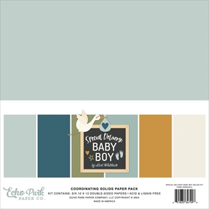 Picture of Echo Park Μονόχρωμα Φύλλα Scrapbooking Διπλής Όψης 12" X 12" - Special Delivery Baby Boy 