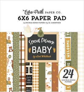 Picture of Echo Park Μπλοκ Scrapbooking Διπλής Όψης 6"X6" - Special Delivery Baby 