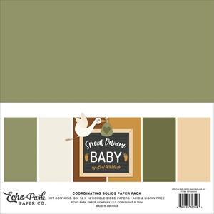 Picture of Echo Park Double-Sided Solid Cardstock 12" x 12" - Special Delivery Baby 