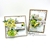 Picture of Mintay Papers Paper Pad Beauty in Bloom  6''x6''