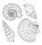 Picture of Crafter's Companion Clear Stamp & Die Set - Enchanted Ocean, Sea Shell Collection, 8pcs