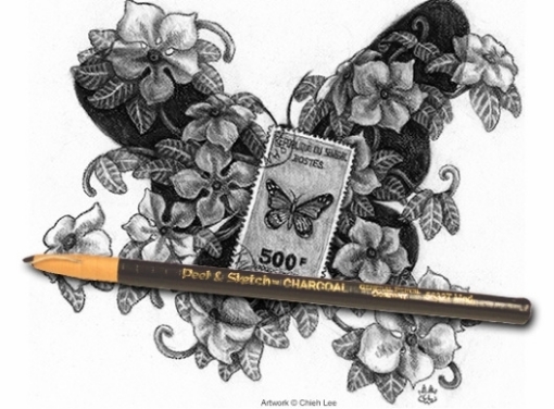 Picture of General's Peel & Sketch Μολύβια Κάρβουνο - Σετ των  3