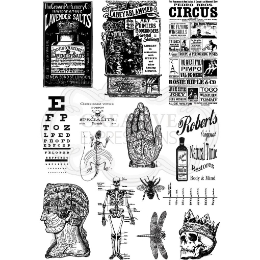 Picture of Creative Expressions Andy Skinner Mixed Media Transfers - Alchemy Plus, 2τεμ