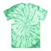 Picture of Tulip One-Step Tie Dye - Green (14 Τεμ / 3 Projects)