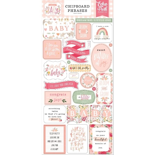 Picture of Echo Park Chipboard Stickers - Welcome Baby Girl, Phrases