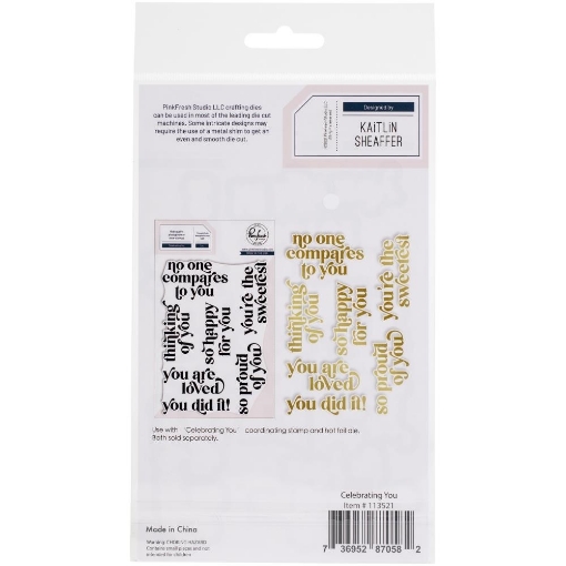 Picture of Pinkfresh Studio Μήτρα Κοπής - Celebrating You