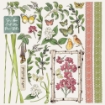 Picture of 49 & Market Collection Pack Συλλογή Scrapbooking 12"X12" - Vintage Artistry Naturalist
