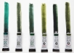 Picture of Daniel Smith Jean Haines Green with Envy Set - Σετ Χρώματα Ακουαρέλας, 6τεμ.