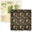Picture of Mintay Papers Συλλογή Scrapbooking 12" x 12" - Botany
