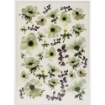 Picture of Dress My Craft Transfer Me Φύλλο Μεταφοράς Εικόνας Α4 - White Anemone Flowers
