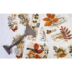 Picture of Prima Re-Design Decor Transfers 6"X12" - Φύλλα Μεταφοράς Εικόνας - Foliage Collector, 3τεμ