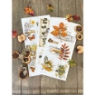 Picture of Prima Re-Design Decor Transfers 6"X12" - Φύλλα Μεταφοράς Εικόνας - Foliage Collector, 3τεμ