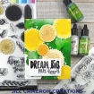 Picture of Tim Holtz Alcohol Ink - Alloy Μεταλλικό Μελάνι Οινοπνεύματος 14ml – Foundry 