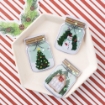 Picture of American Crafts Vicki Boutin Shaker Stickers -  Evergreen & Holly, 6τεμ.