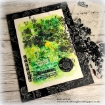 Picture of Stampers Anonymous Tim Holtz Mini Layered Στένσιλ Σετ – Thorned, Markings & Crest Set 53, 3 τεμ.