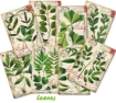 Picture of Decorer Μίνι Συλλογή Χαρτιών Scrapbooking Διπλής Όψης  - Leaves