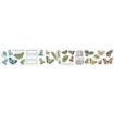 Picture of 49 & Market Washi Tape Αυτοκόλλητα - Vintage Artistry, Nature Study, Wings