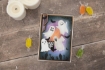 Picture of Crafter's Companion Μπλοκ Scrapbooking Διπλής Όψης 6"X6" - All Hallows Eve